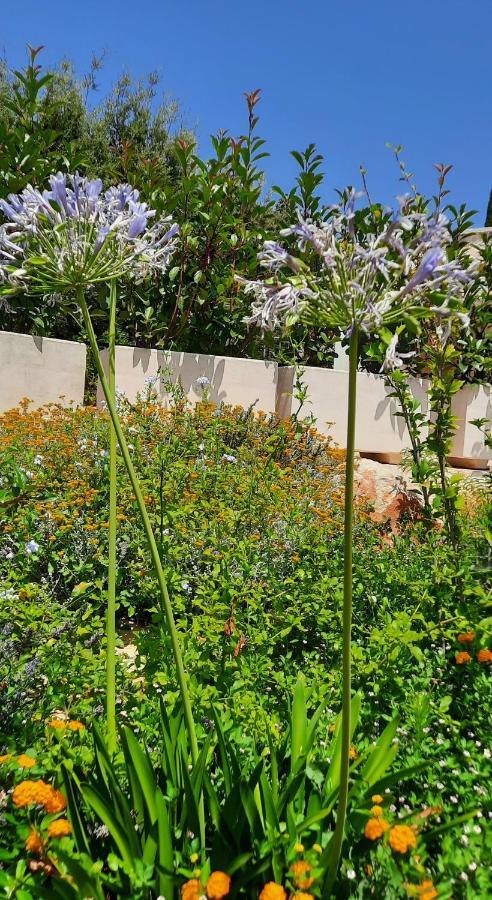 Trulli Giaci&Mauri Aparthotel Selva Di Fasano Ngoại thất bức ảnh